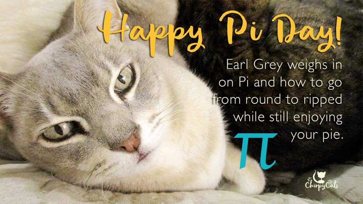 So it's Pi day A Cat Weighs In