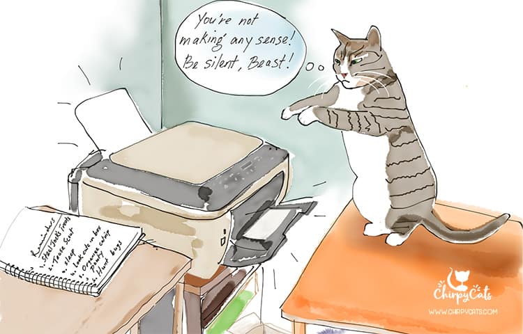 cat and printer