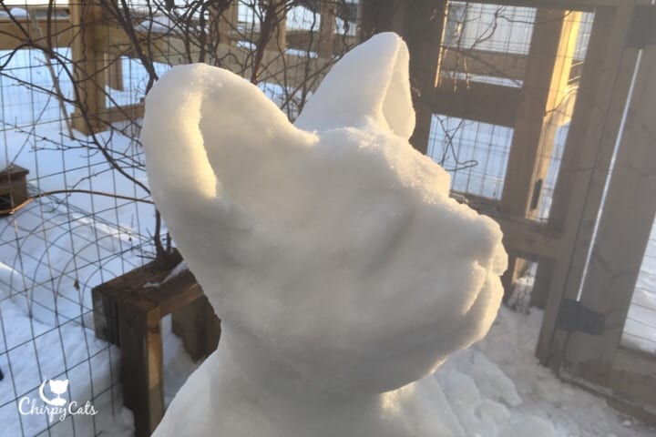 snow sculpture of cat head