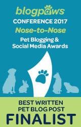 Best written blog post finalist