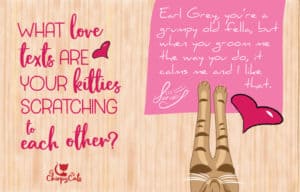 cats write love text messages on their scratching posts