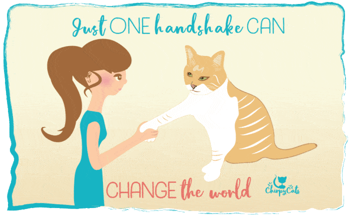 polydactyl cat handshake opposable thumbs