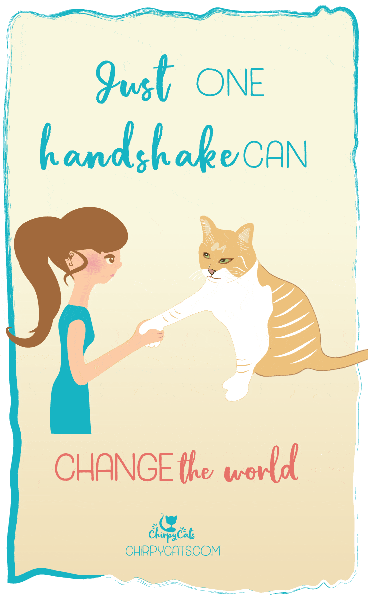 How to change the world with one unique paw shake