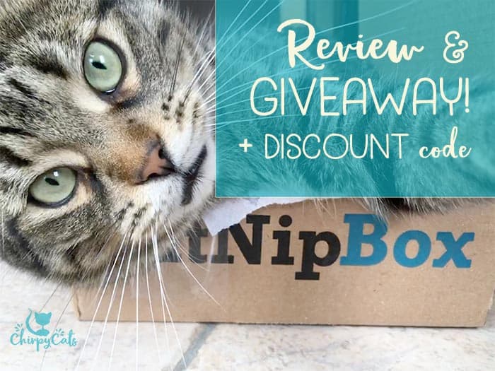 KitNipBox Review and Giveaway with the Chirpy Cats