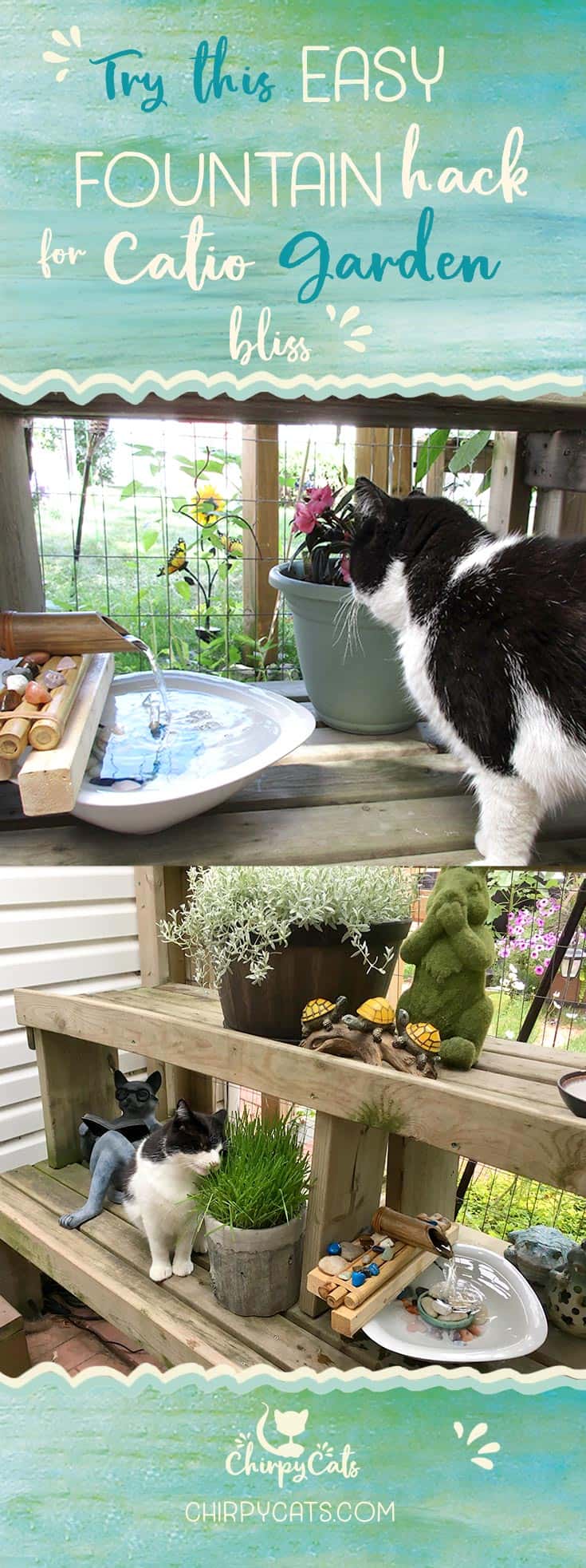 For ultimate catio 'zen' try this easy fountain hack for you and your cats to enjoy!