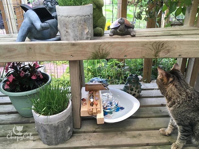 Setup the perfect zen garden for your cat with this easy fountain hack