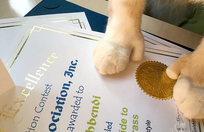 Cat Writer's Association Certificate of Excellence Chirpy Cats