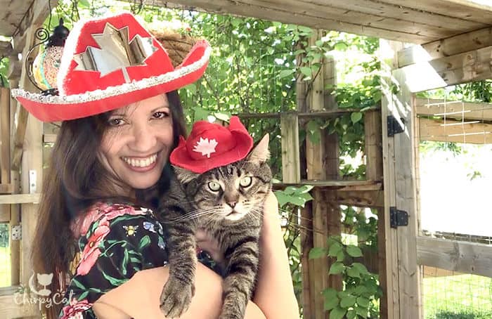 cat wearing Canada day hat