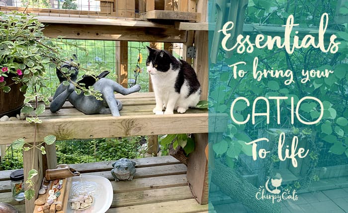 9 Awesome ways to bring your catio to life with these catio accessories