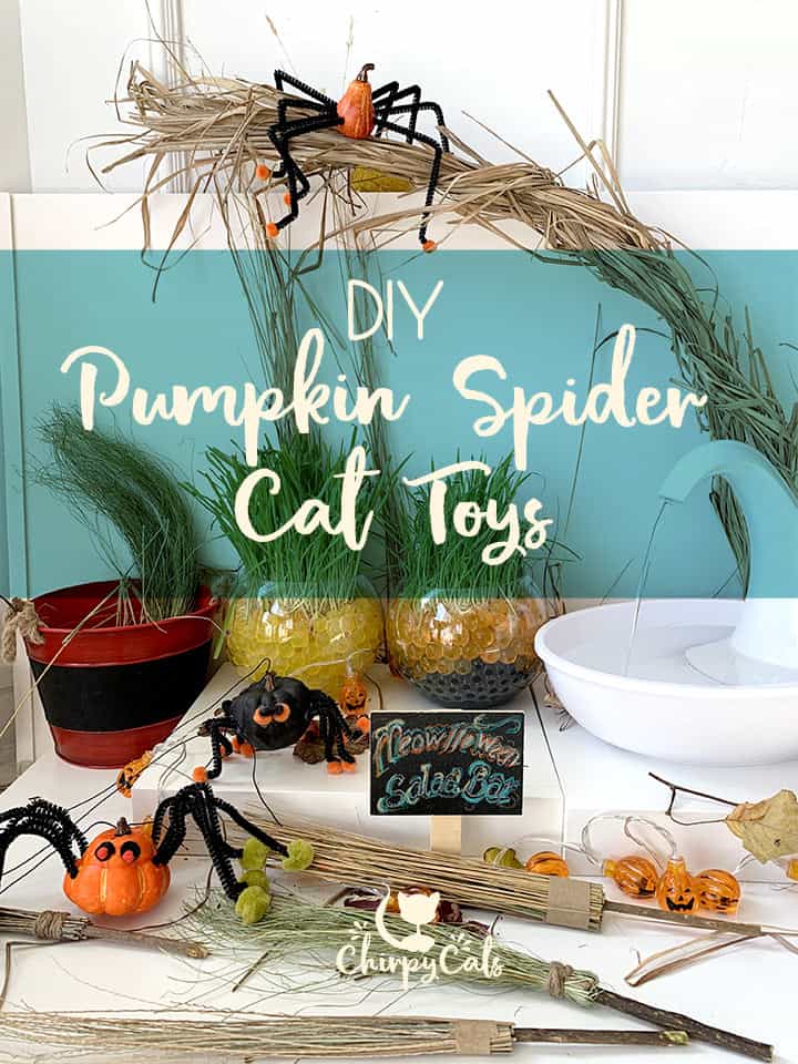 Enhance Your Cat\'s Playtime with these Frighteningly Cute Pumpkin Spider Toys