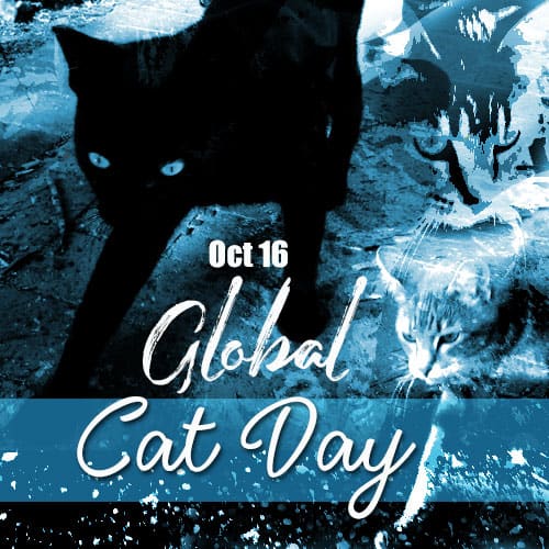 Global cat day 2019