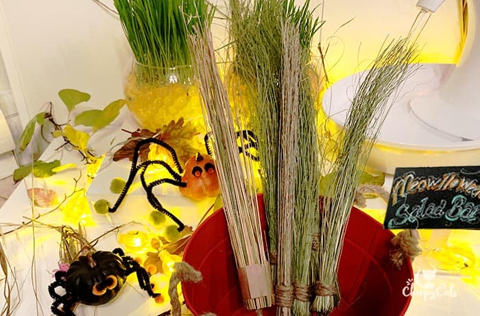 Mini witches brooms in a meowlloween display for cats