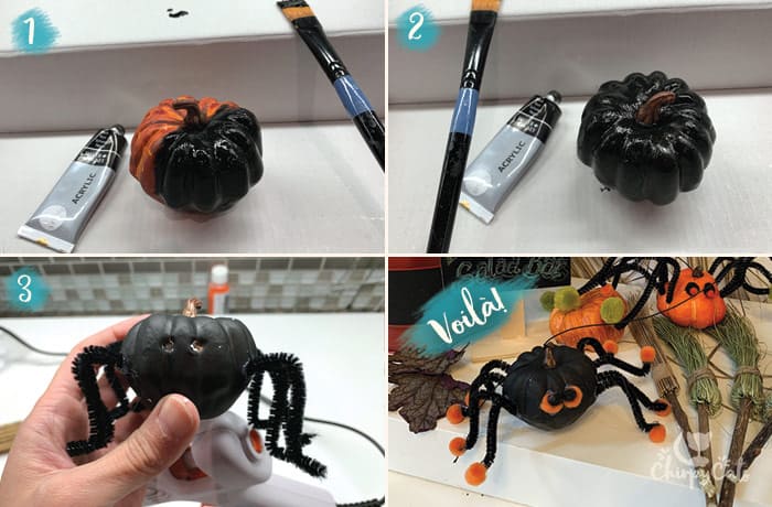 diy pumpkin painted black to make black spider cat toy