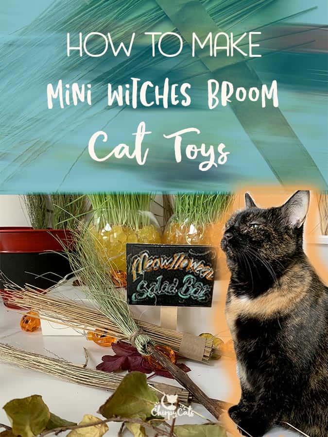 How to Make Mini Witch\'s Broom Cat Toys from Textures and Scents your Cat will Love