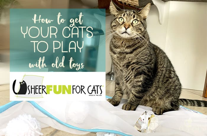 Bring your cat's toys back to life with Sheer Fun for Cats