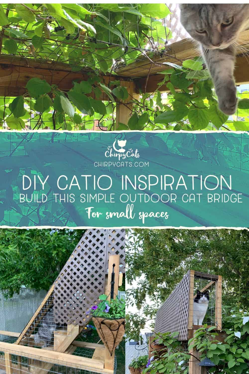 How to build this charming cat bridge that will spruce up your catio