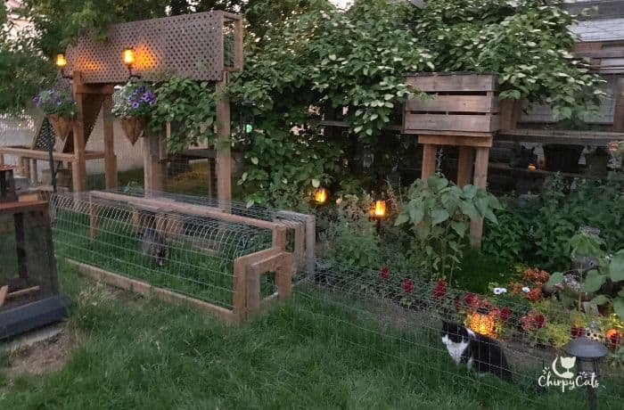 night time view of outdoor catio bridge with solar lights