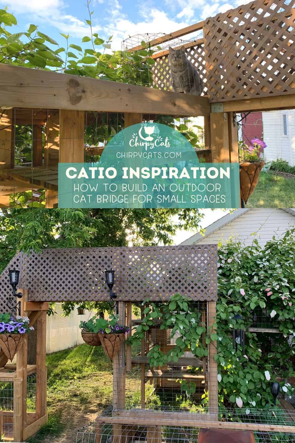 How to build this charming cat bridge that will spruce up your catio