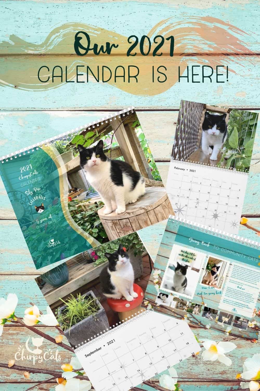 2021 Calendar features the Life of Sly Pie (and giving back)